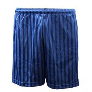 Carta Sport Unisex Adult Seriea Shorts / Navy